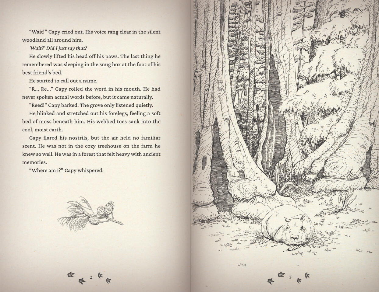 pg2-3